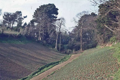 St Lawrence potato fields
