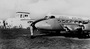A Heron at Alderney Airport
