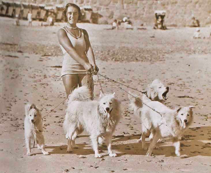 File:H25JSCLabeyAlbum1928GIrl&DogsOnBeach.png