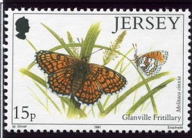 Butterflies and moths