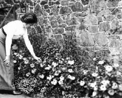 Lady in a flower garden