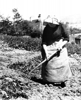 A Breton lady farmworker