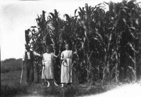 John Edward, Dorothy and Lizzie Pallot