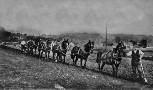 Ploughing on the Le Brun farm at St Lawrence in 1904