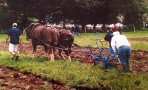 Breezing at Samares Manor