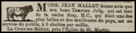 Jean Mallet, of Croix au Maitre, St Martin, advertised the services of his bull in Chronique de Jersey in 1874