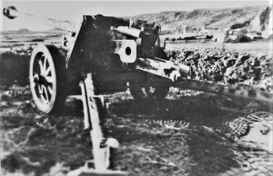 Field gun at L'Etacq