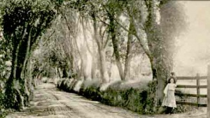 A lane in the parish