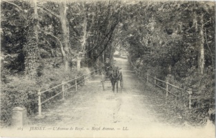 Road leading to Rozel