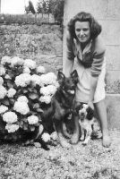 Madeleine Le Cuirot and the family dogs c1946