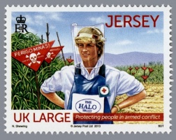 Red Cross and Red Crescent