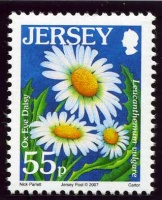 Wildflower definitives