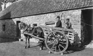 A typical farm cart
