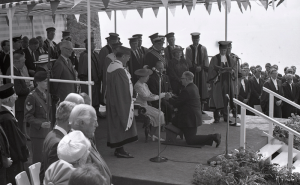 Picture Jersey Evening Post