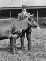 F H Le Boutillier's Gauntlett 10th photographed by Albert Smith in 1913