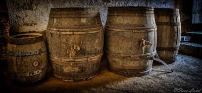 Cider barrels - picture by Steve Lund