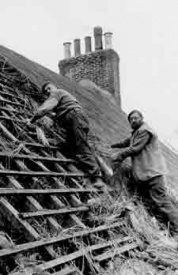 The old art of thatching