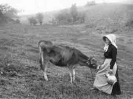 Dora Foot poses with a cow for her photographer husband Francis