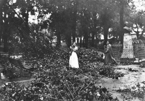 Storm damage in the Parade