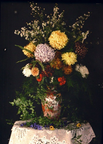 This early 20th century still-life of a vase of flowers was claimed in 2019 to be the earliest colour photograph taken in Jersey, which seems unlikely given that colour photography dates back to 1861, and although possibly not taken in Jersey, there is a surviving colour photograph from that year taken by Thomas Sutton, who had a business in the island from 1847