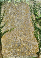 St Peter parish cemetery