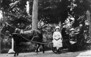 An outing for the Bertram family in 1883