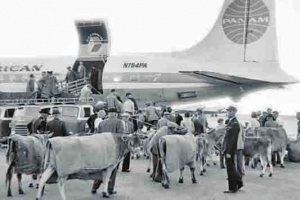 1960 export by air to America