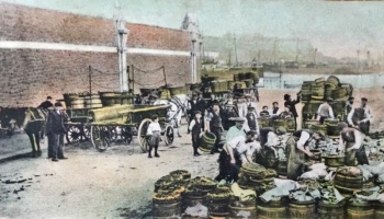 Packing potatoes on the quayside