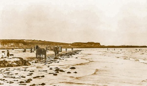 Collecting vraic with a horse and cart, in front of bathing machines