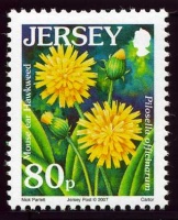 Wildflower definitives