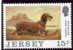 Dog Club centenary