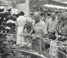 1983 - Jersey Evening Post photograph