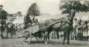 A horse and cart at a country fair