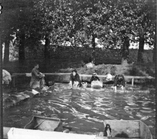Women washing at a lavoir in 1909