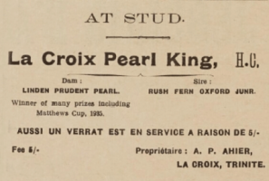 Trinity farmer Albert Peter Ahier advertised the services of his prize bull in this 1939 advert in Chronique de Jersey