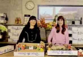 Blue Swan Carnation Nursery