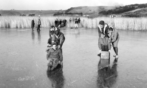 St Ouen's Pond 1963 - Picture Evening Post
