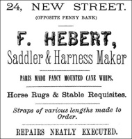 1881 advert