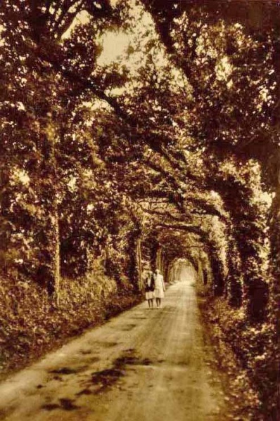 File:StJohnLane1920.jpg