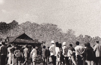 Another picture of a 1960s finale