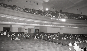 The last night in 1981