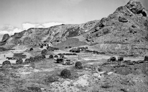 Mounds of vraic at L'Etacq in the 1940s