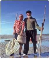 ... well equipped to catch shrimps and razor fish