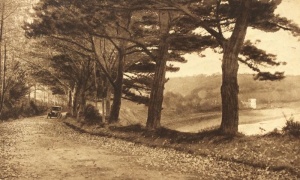Pine Walk in 1924