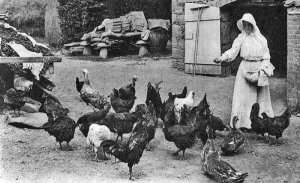 Feeding the chickens in 1910