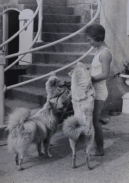 File:H25LabeyAlbumAug1928Dogs2.png