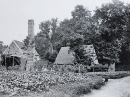 Dannemarche Mill in 1895, picture by Albert Smith