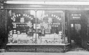 White's, 29 Bath Street, 1895