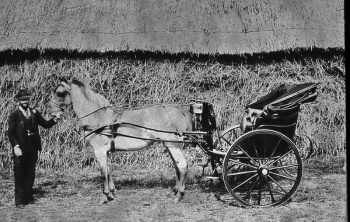Pony and trap - the simplest horsedrawn carriage