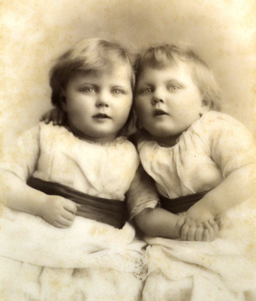 File:EB15Twins1890Stroud.jpg